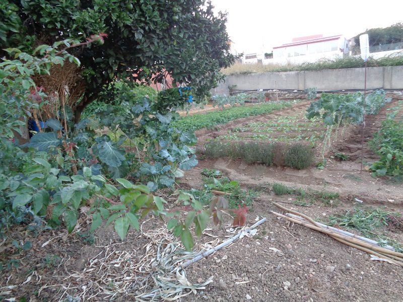 Vende-se terreno para construção em São Domingos de Rana